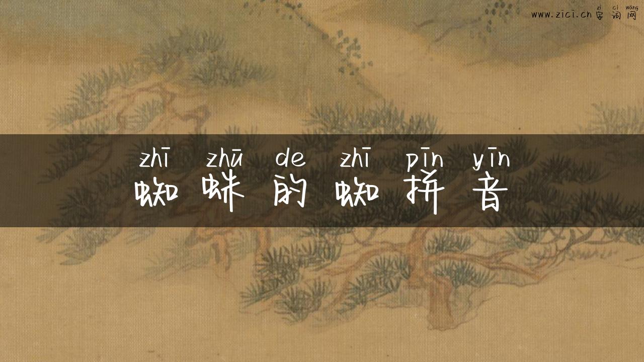 蜘蛛的蜘拼音