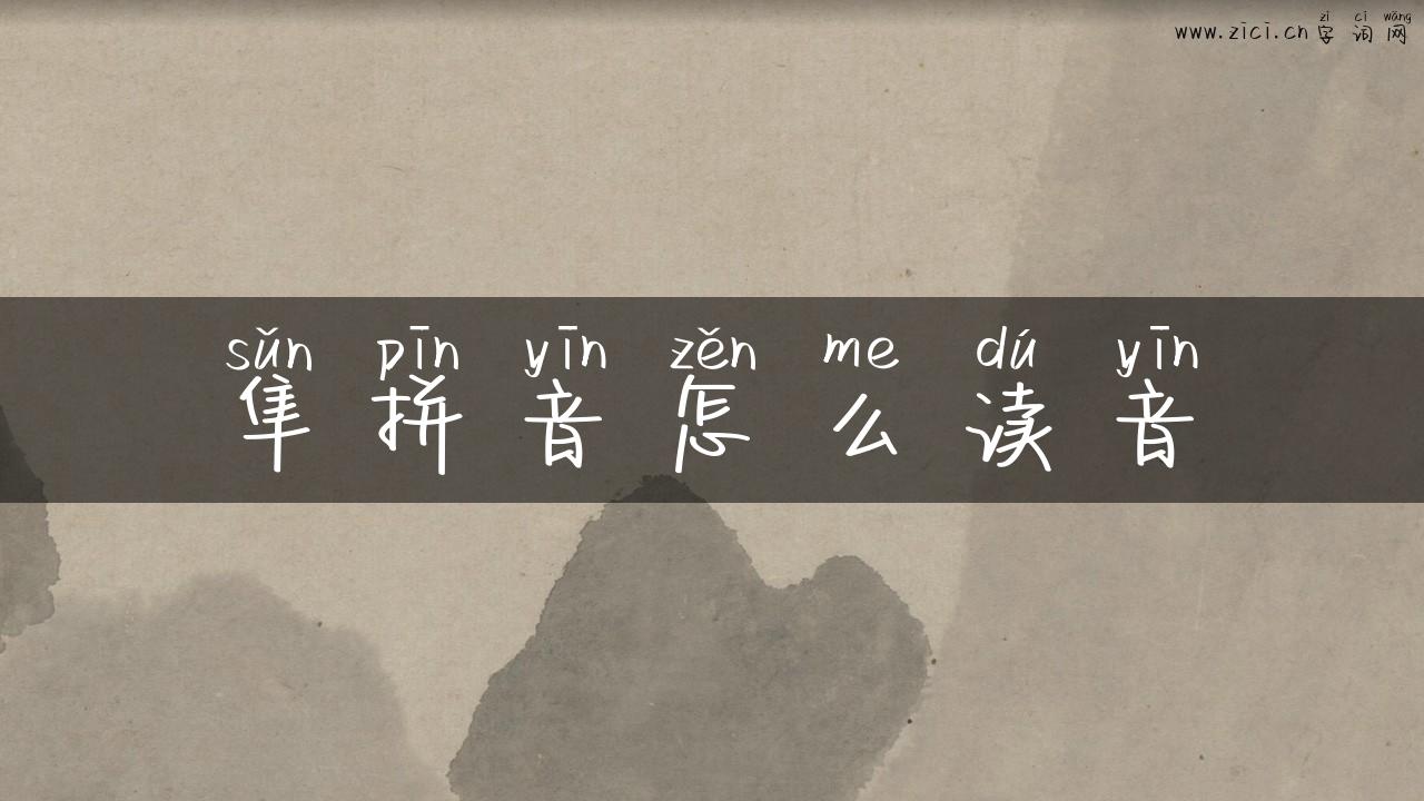 隼拼音怎么读音
