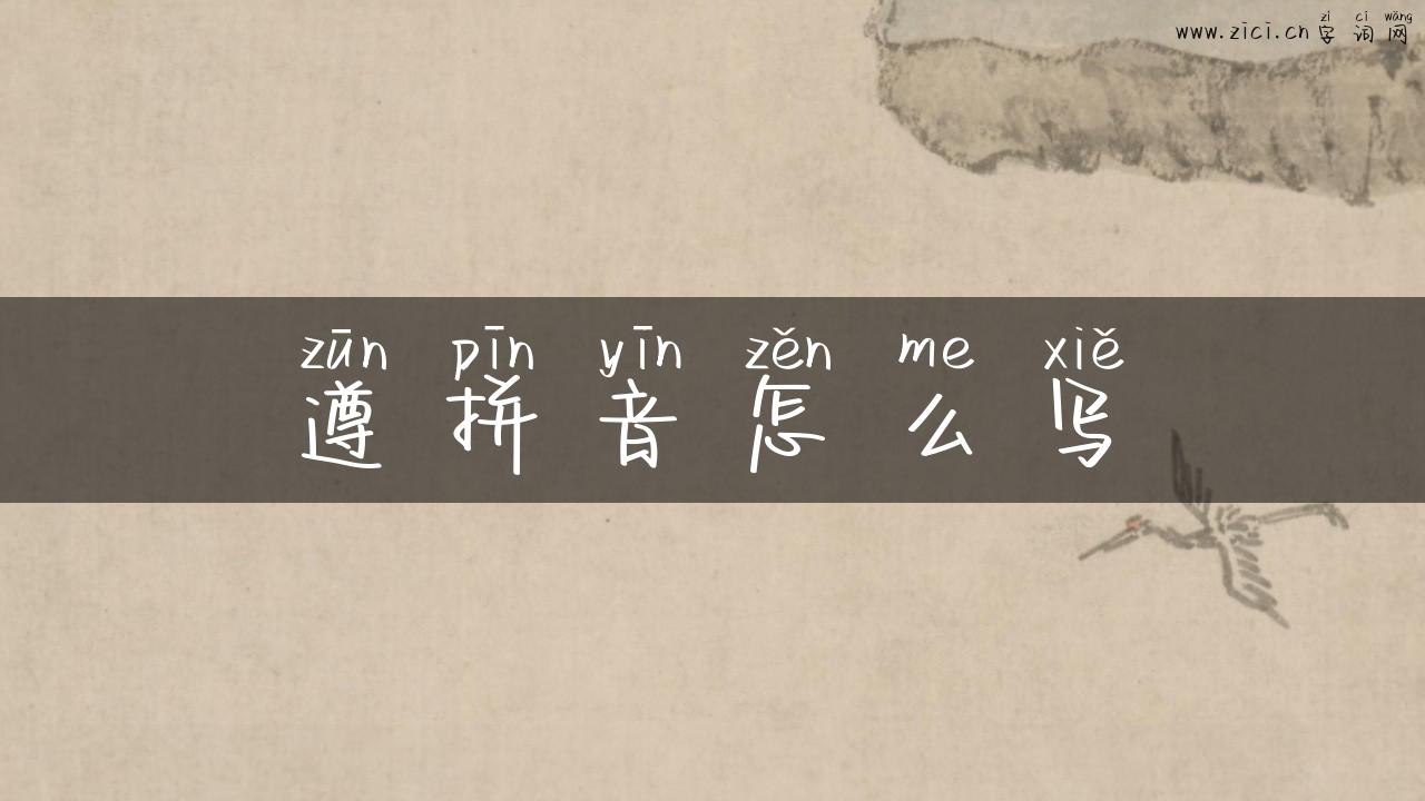 遵拼音怎么写