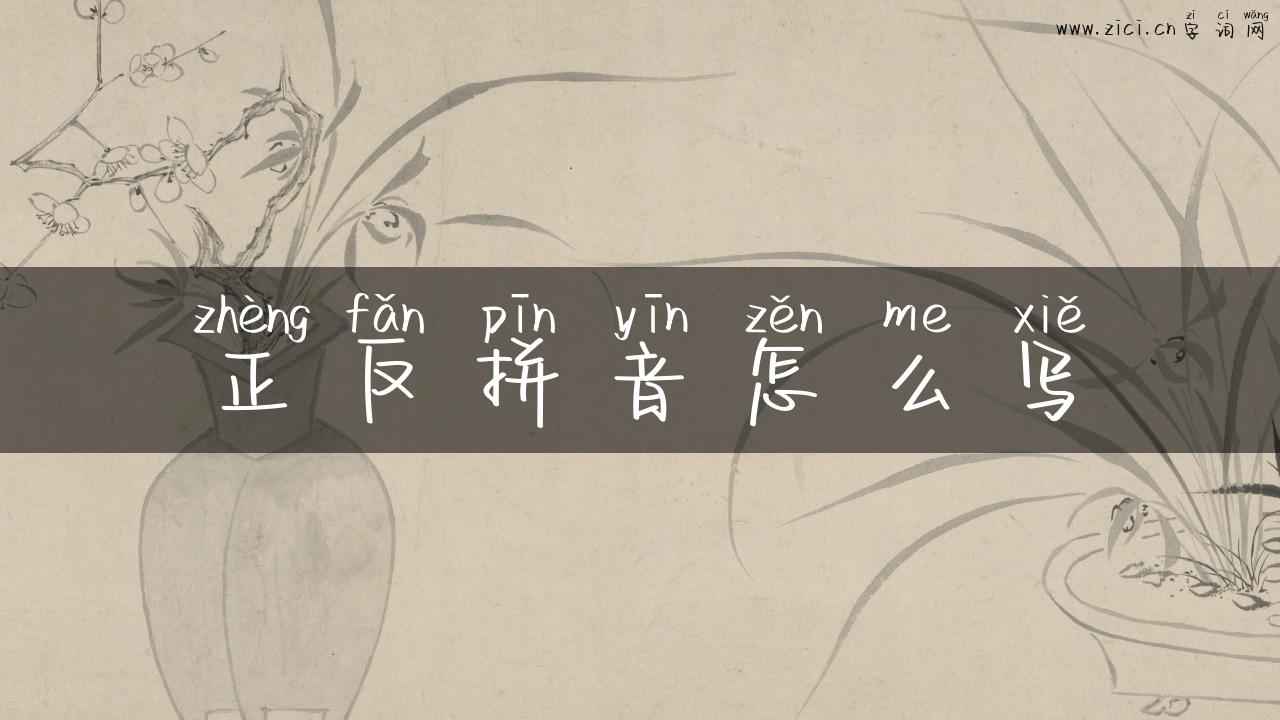 正反拼音怎么写
