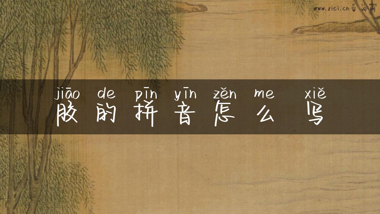 胶的拼音怎么 写