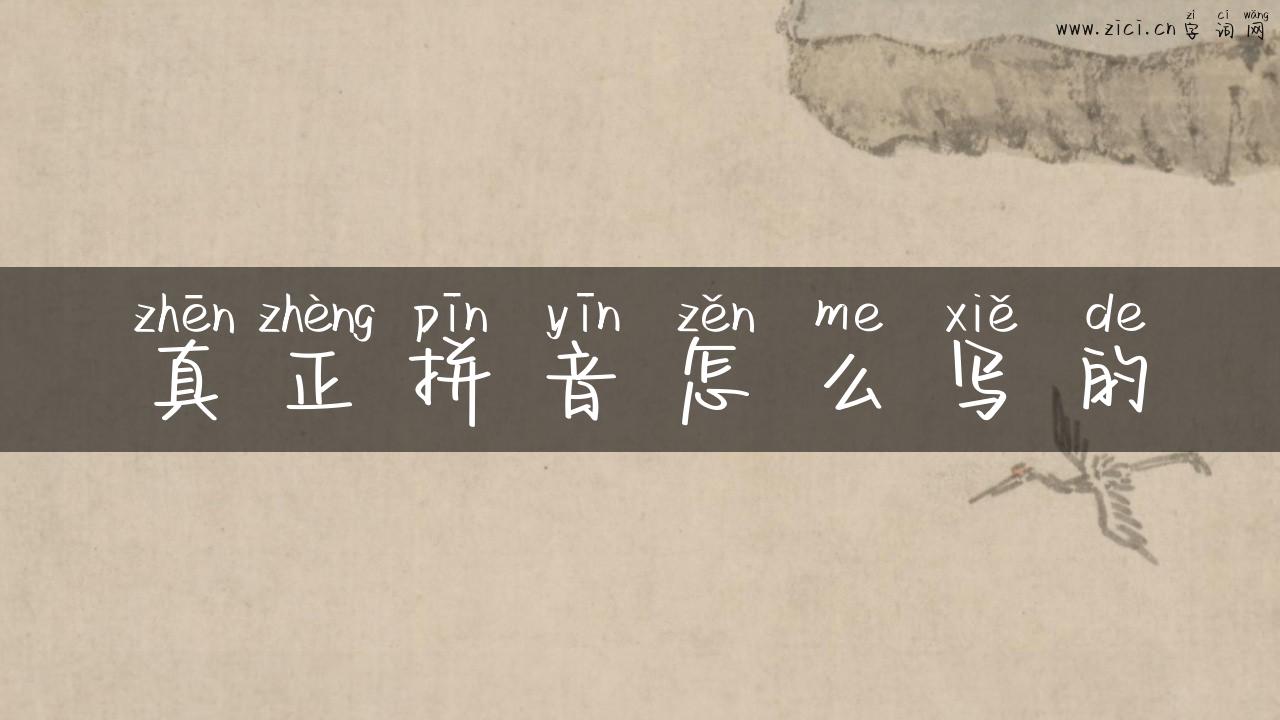 真正拼音怎么写的