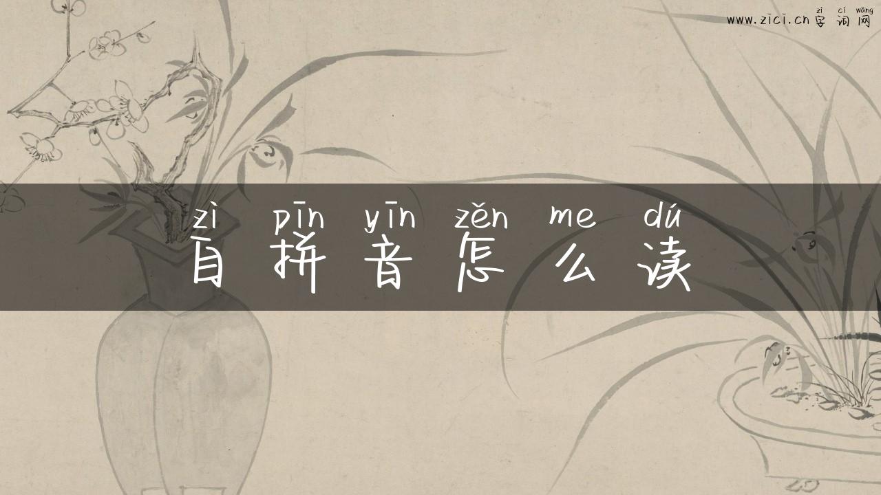 自拼音怎么读
