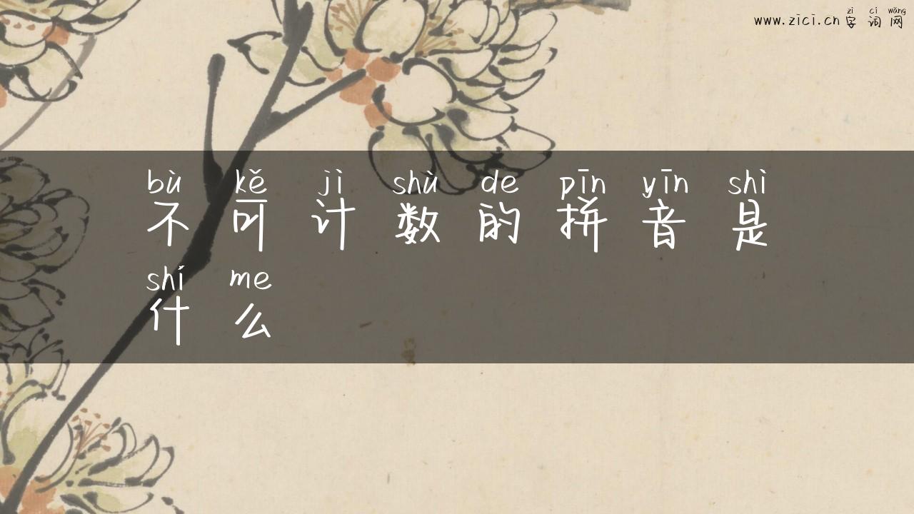 不可计数的拼音是什么