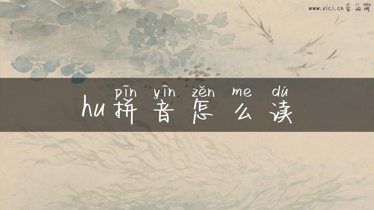 hu拼音怎么读