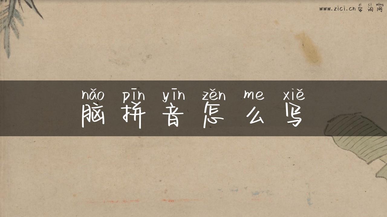 脑拼音怎么写