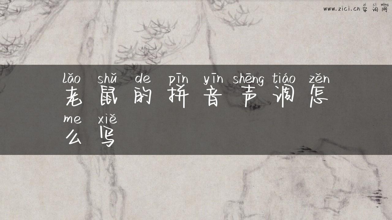 老鼠的拼音声调怎么写