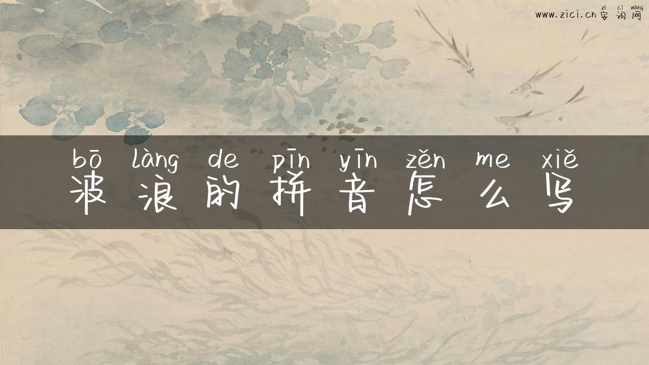波浪的拼音怎么写