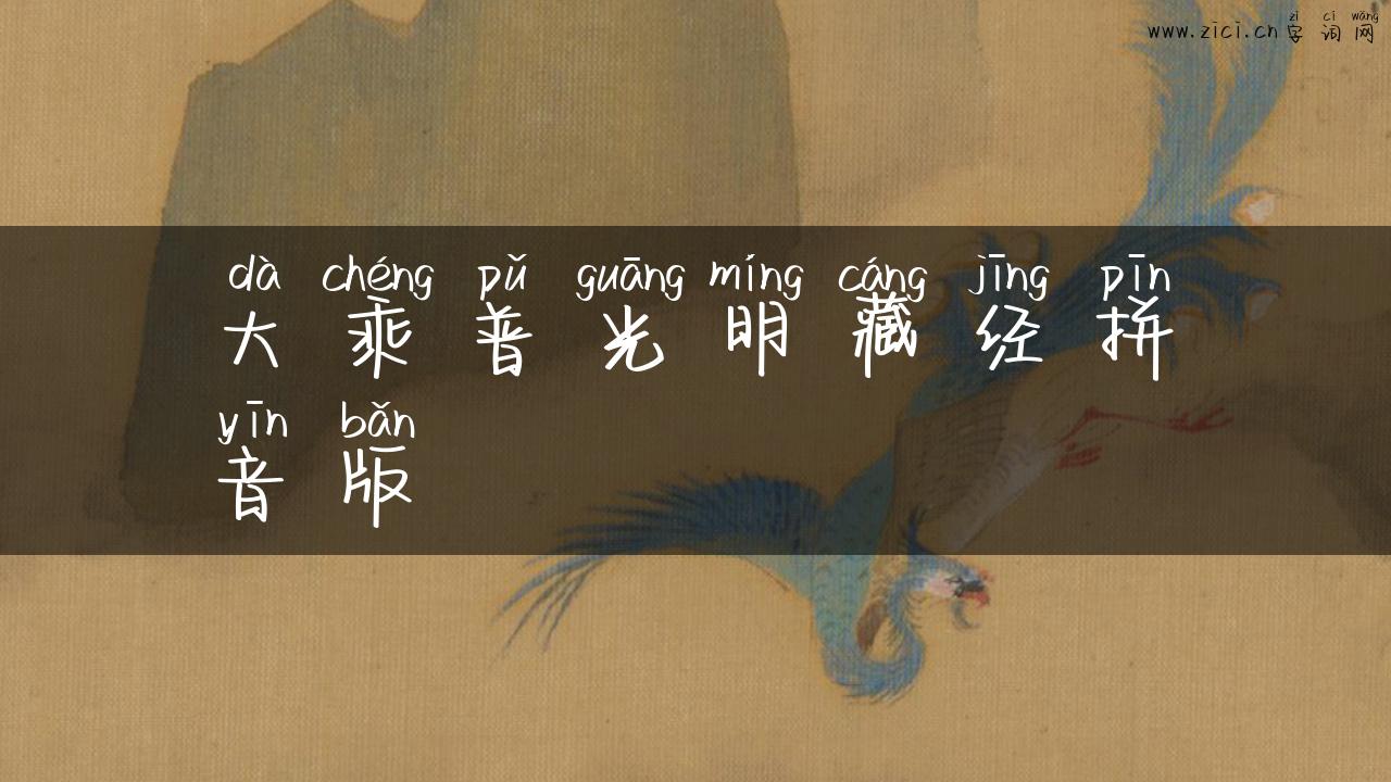 大乘普光明藏经拼音版