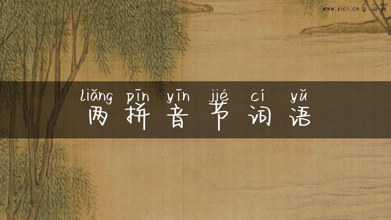 两拼音节词语