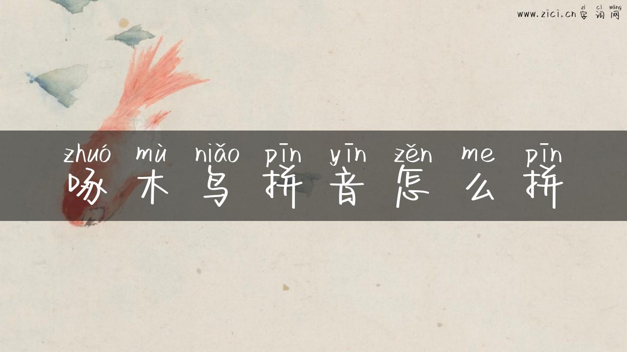 啄木鸟拼音怎么拼