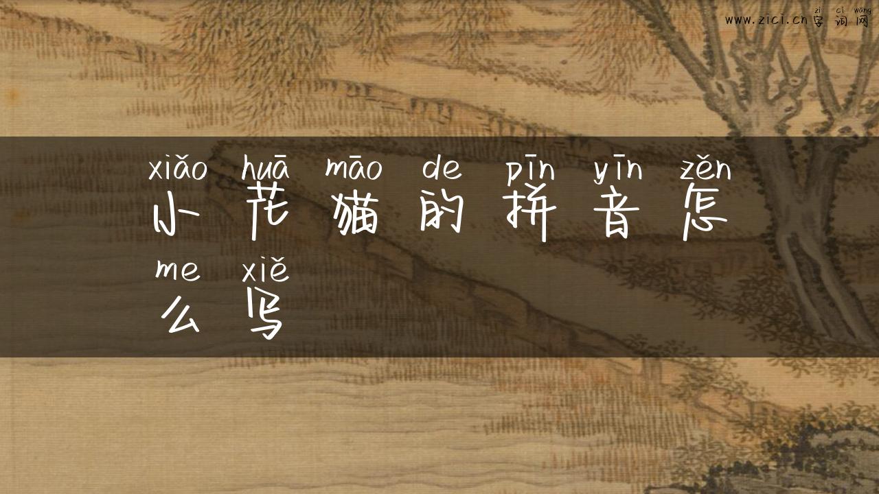 小花猫的拼音怎么写