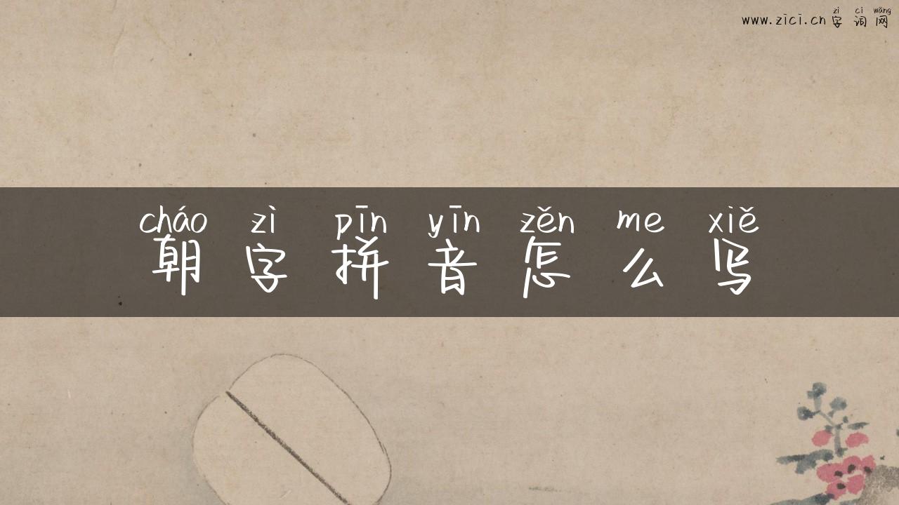 朝字拼音怎么写