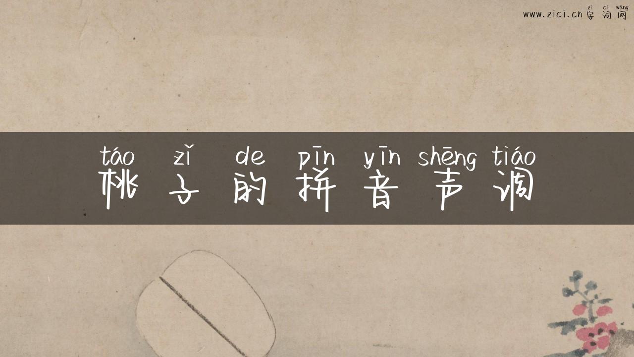 桃子的拼音声调
