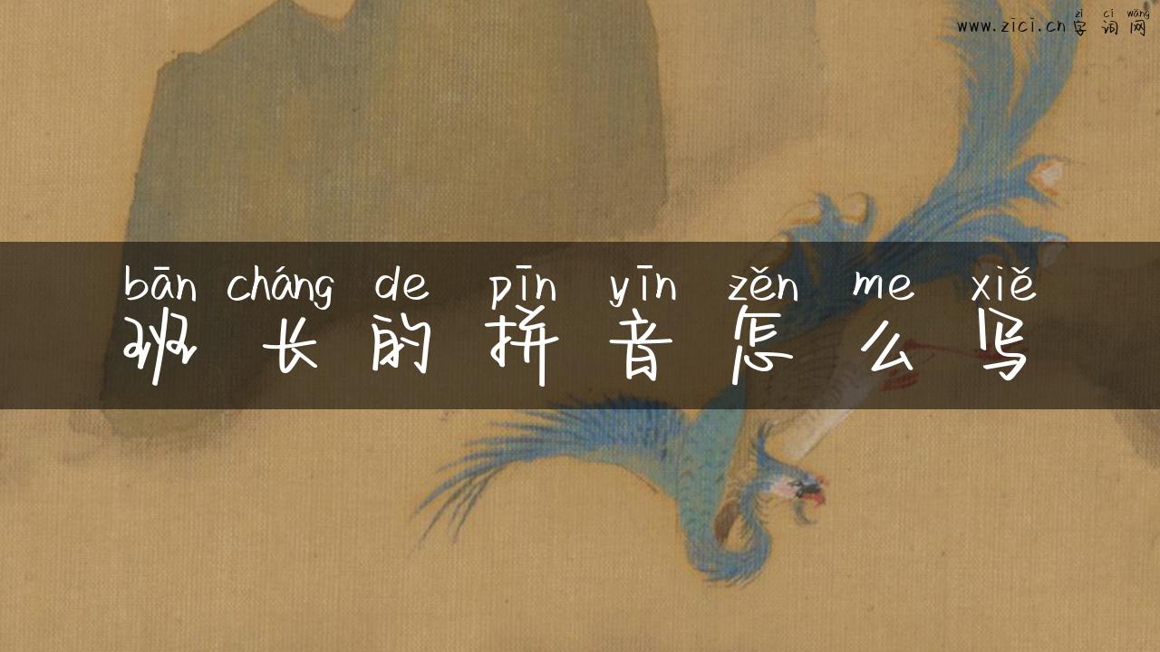 班长的拼音怎么写