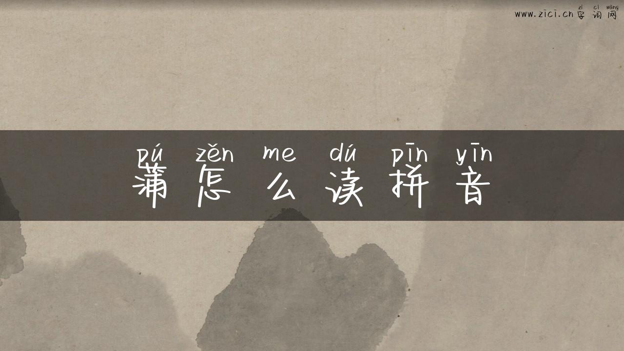 蒲怎么读拼音