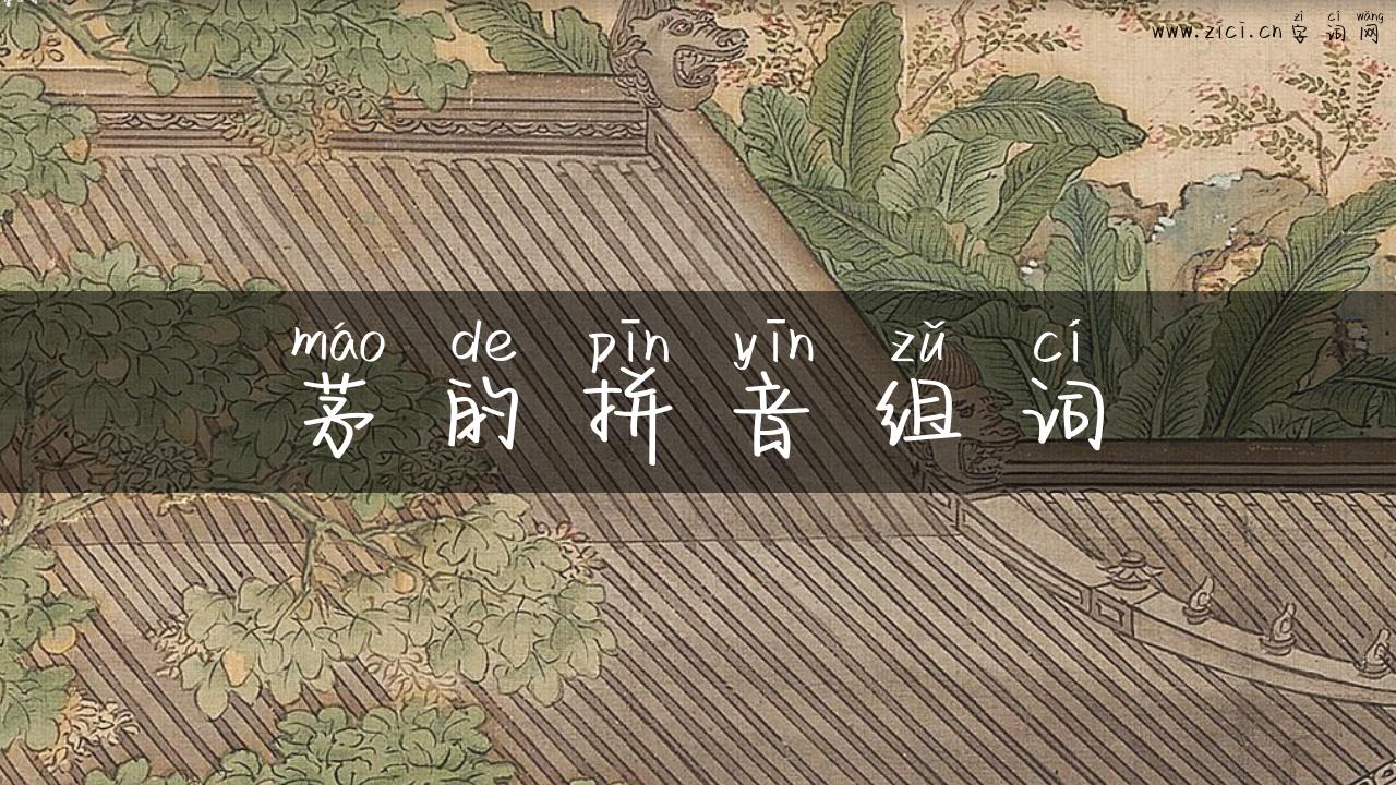 茅的拼音组词