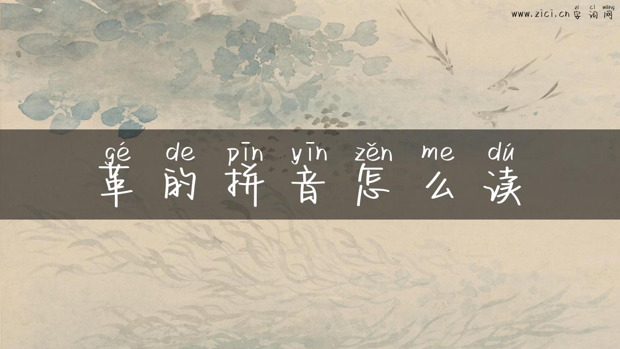 革的拼音怎么读