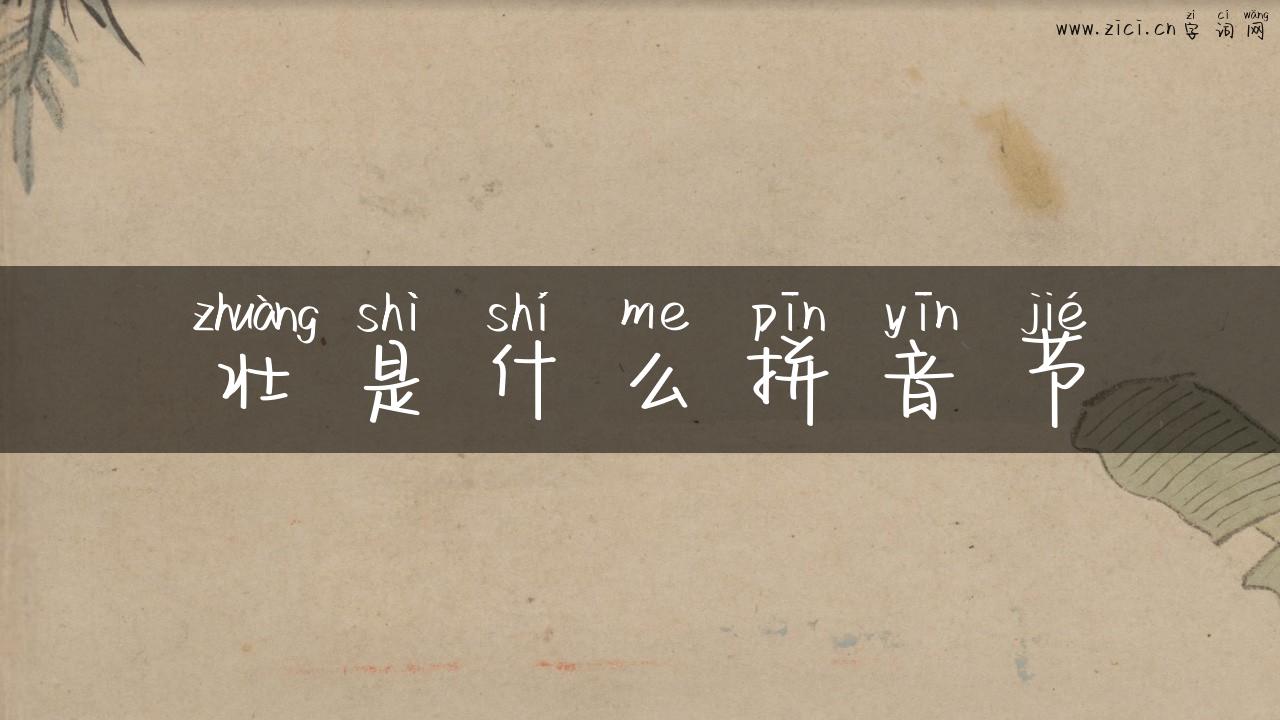 壮是什么拼音节