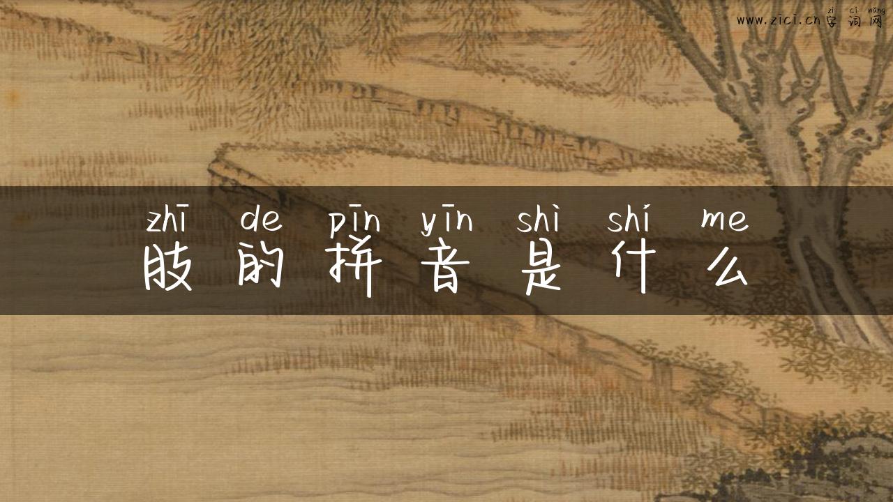 肢的拼音是什么