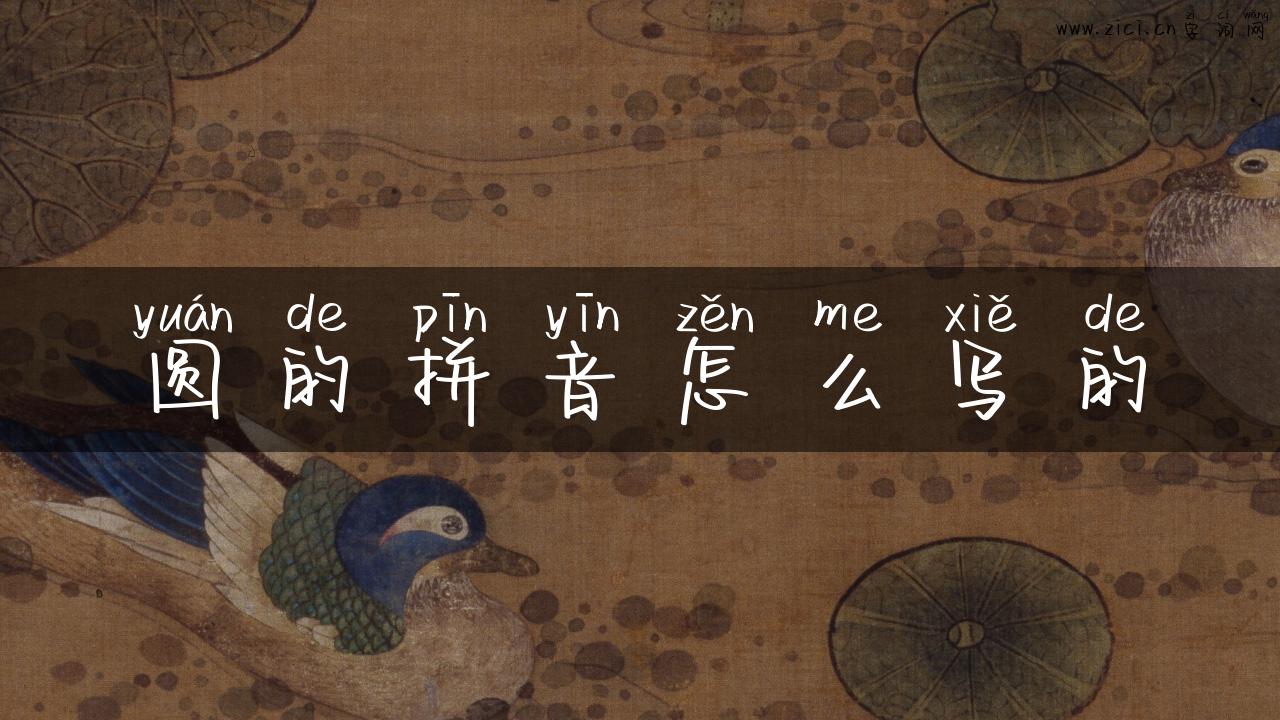 圆的拼音怎么写的
