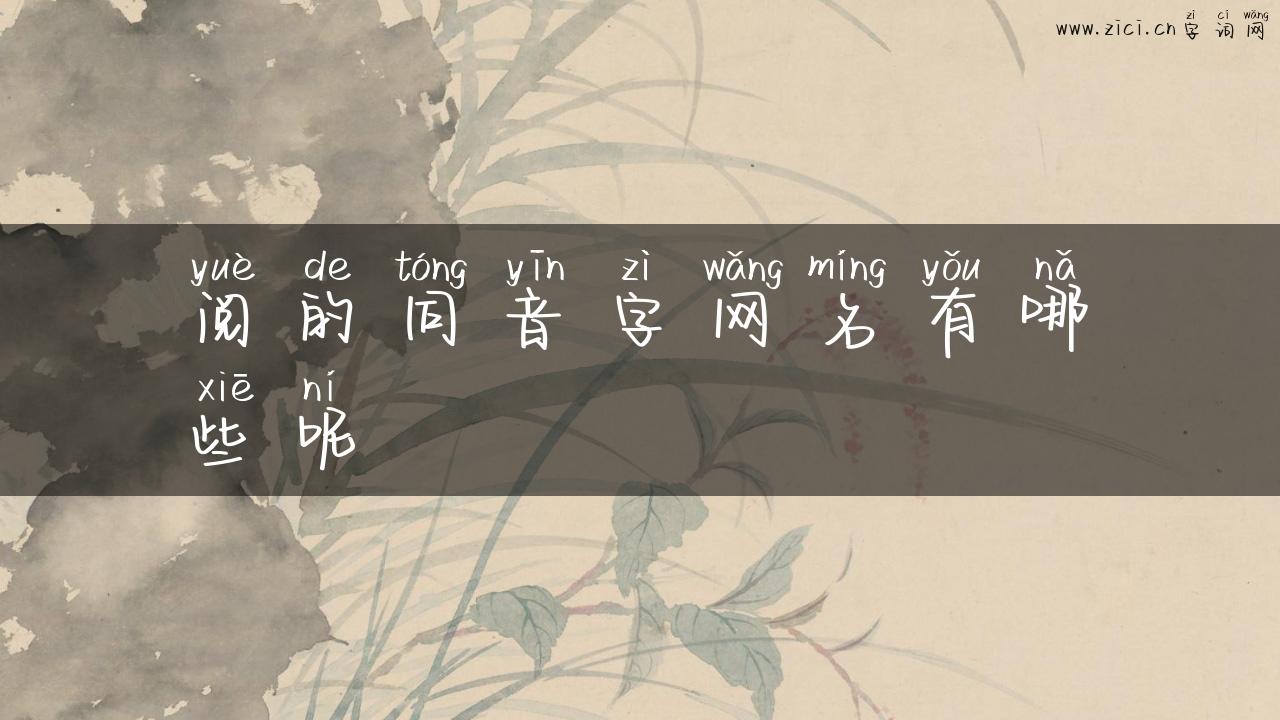 阅的同音字网名有哪些呢