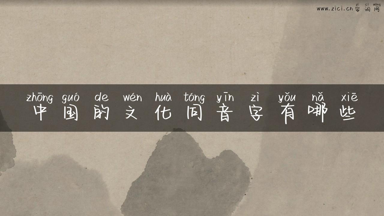 中国的文化同音字有哪些