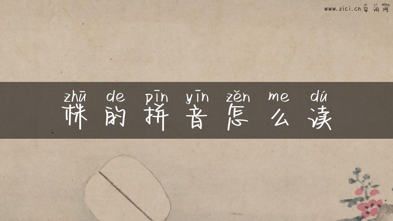 株的拼音怎么读