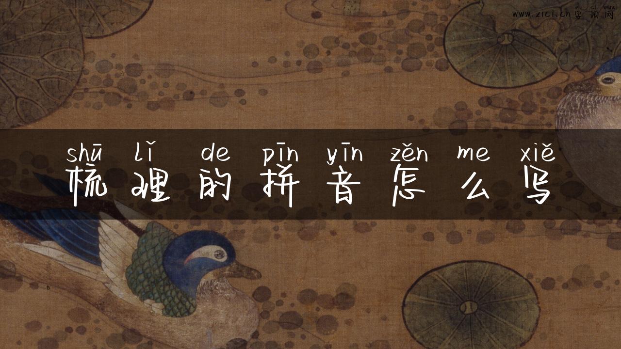梳理的拼音怎么写