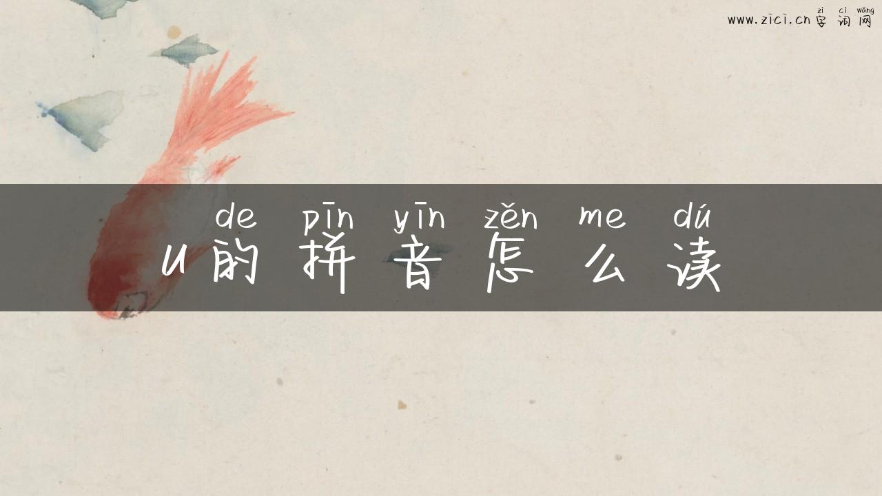 u的拼音怎么读