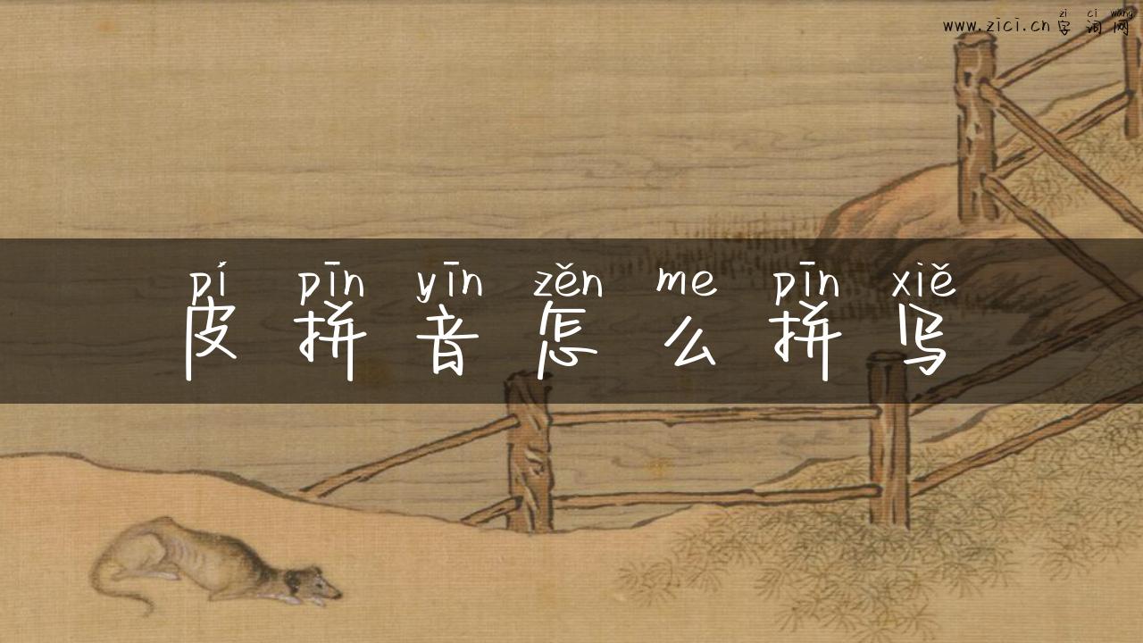 皮拼音怎么拼写
