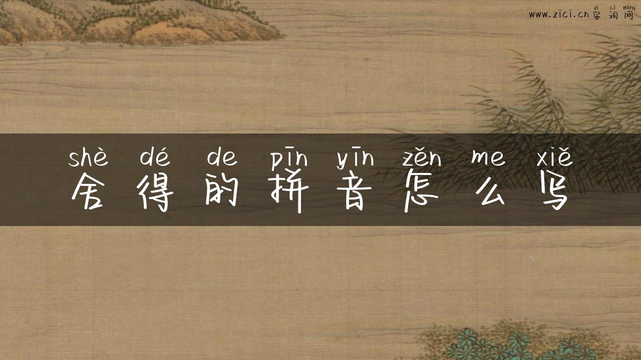 舍得的拼音怎么写