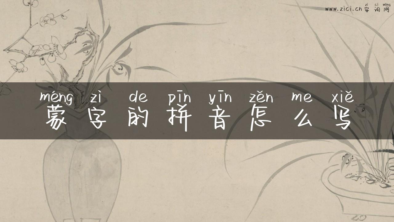 蒙字的拼音怎么写