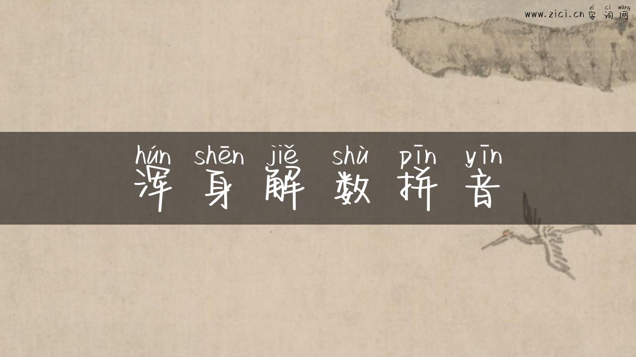 浑身解数拼音