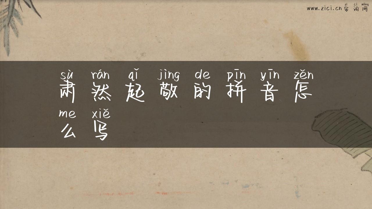肃然起敬的拼音怎么写