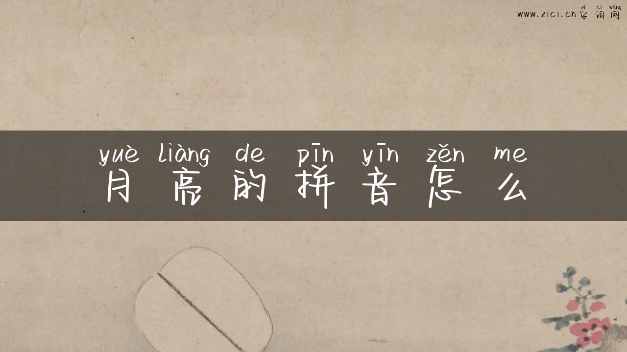 月亮的拼音怎么