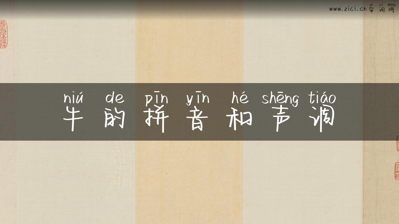 牛的拼音和声调
