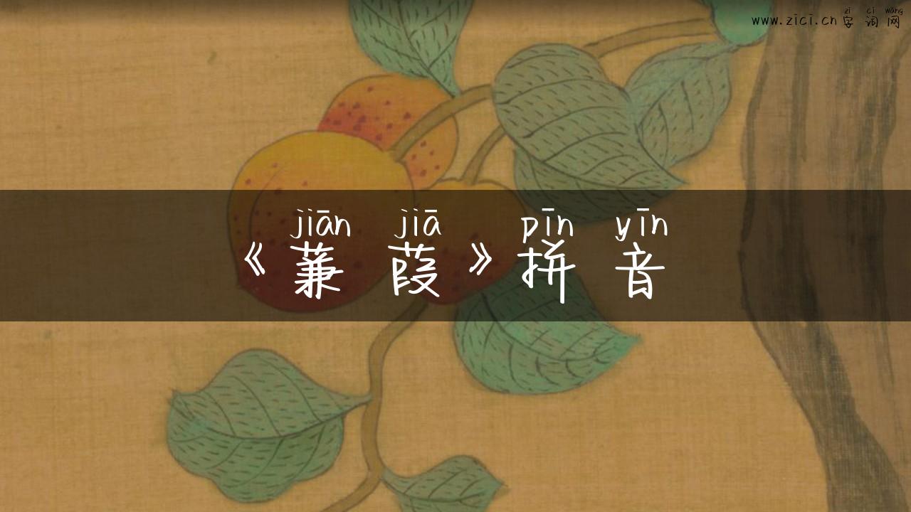《蒹葭》拼音