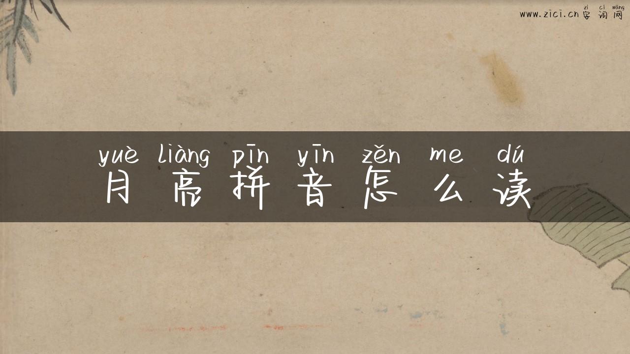 月亮拼音怎么读