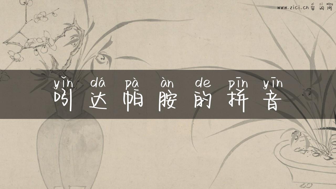 吲达帕胺的拼音
