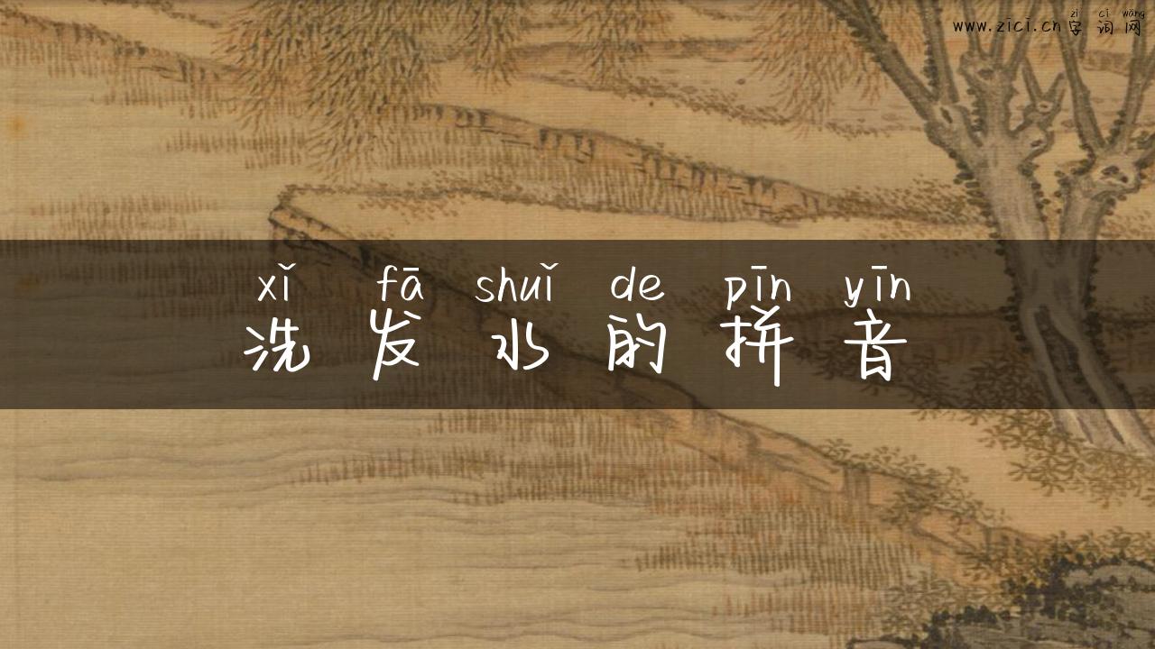 洗发水的拼音