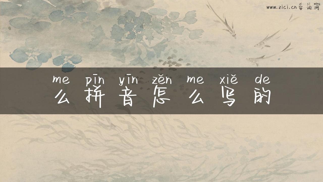 么拼音怎么写的