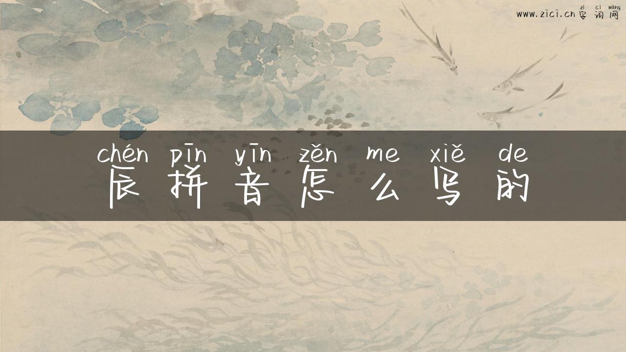 辰拼音怎么写的