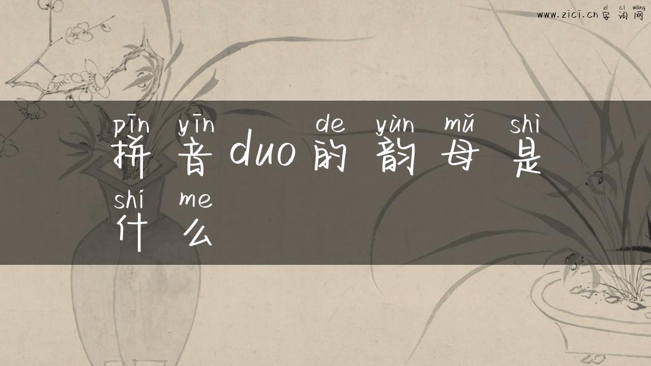拼音duo的韵母是什么