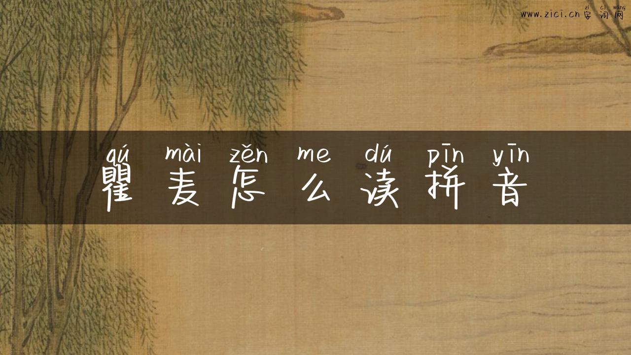 瞿麦怎么读拼音