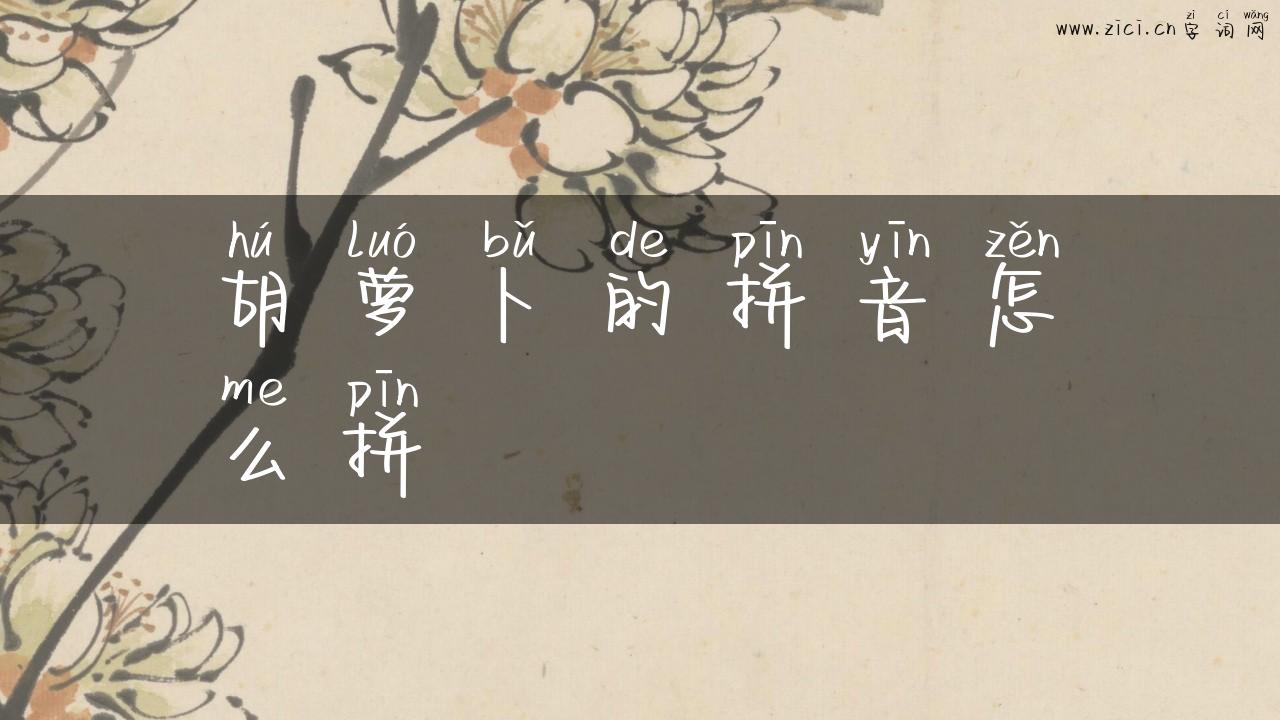 胡萝卜的拼音怎么拼