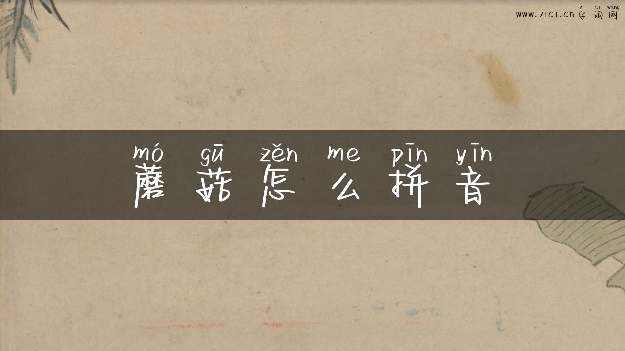 蘑菇怎么拼音