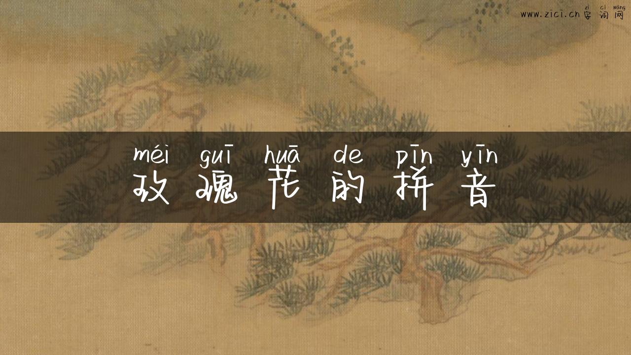 玫瑰花的拼音