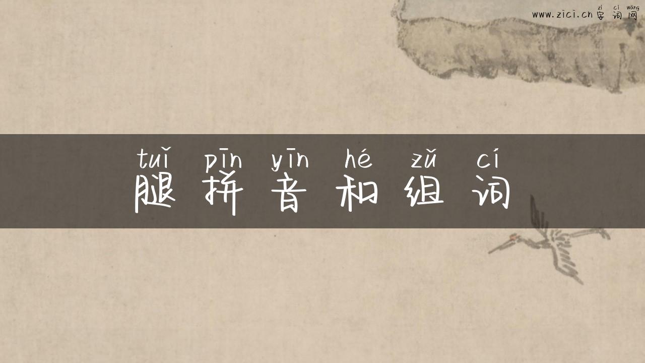 腿拼音和组词
