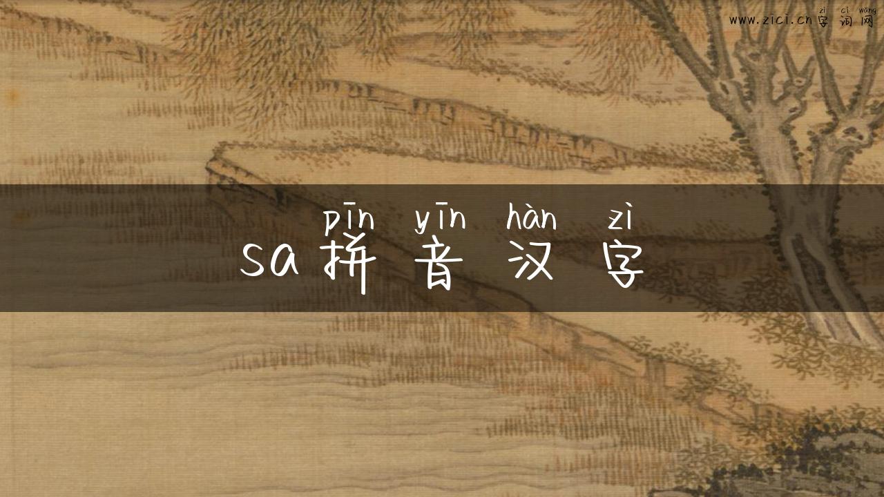 sa拼音汉字